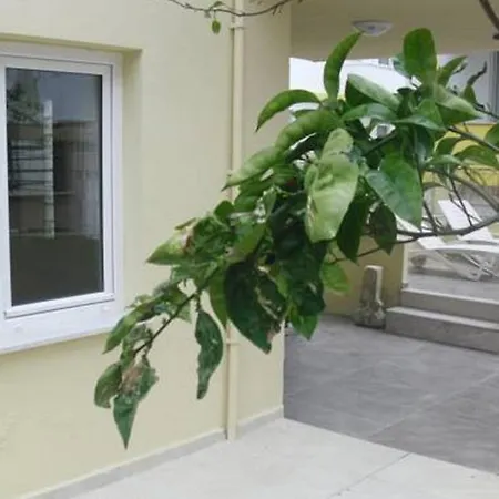 Apartment Gaby Kusadası